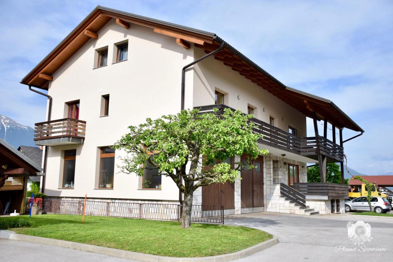 Apartments B&S Блед Экстерьер фото